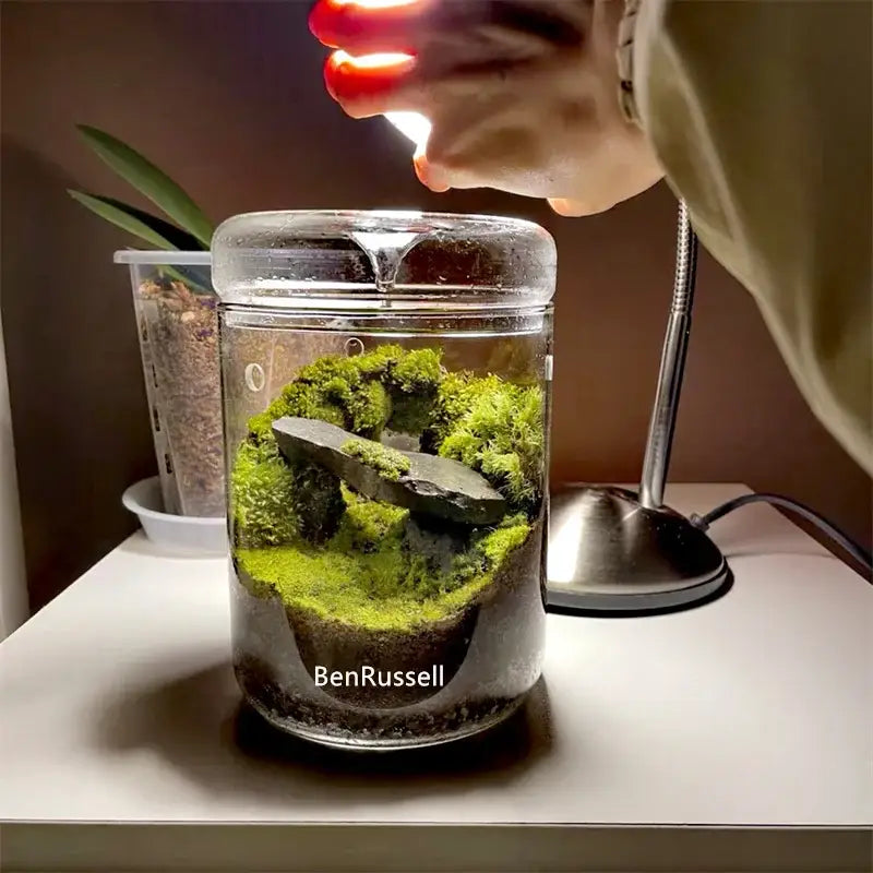 DecorBites™ mini glass bottle terrarium kit with lush green moss and dark stone slab for home decor landscape glass