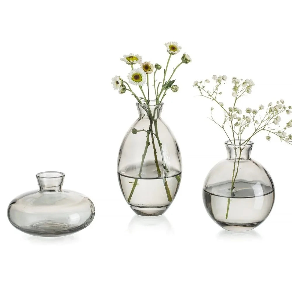 Mini Glass Flower Vase for Home Decor - Vase