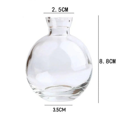 Mini Glass Flower Vase for Home Decor - transparent-B - Vase