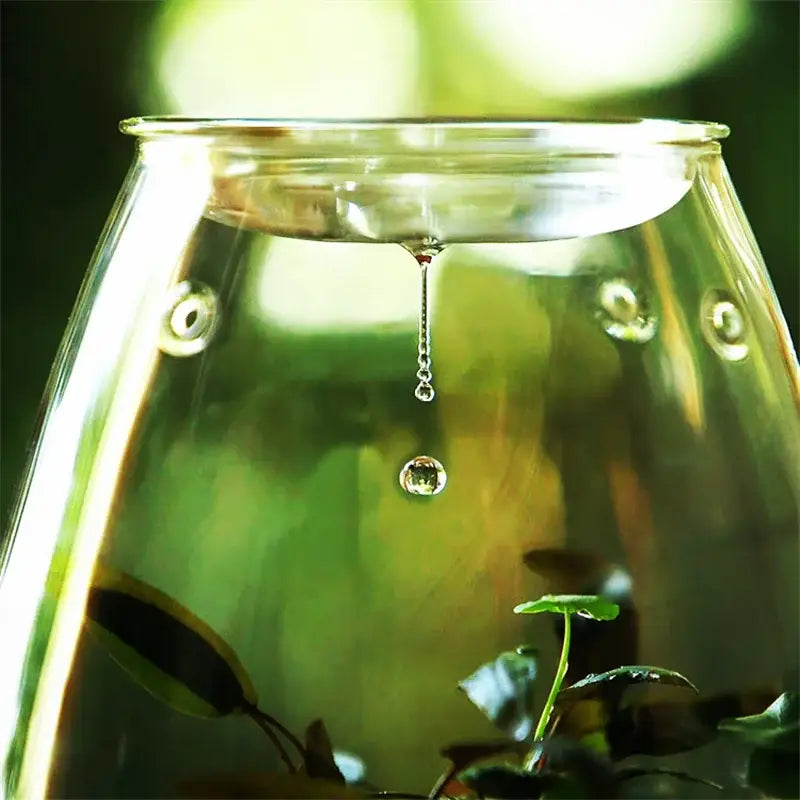 Mini Glass Terrarium for Succulents and Moss - 20x13.5cm - Vase
