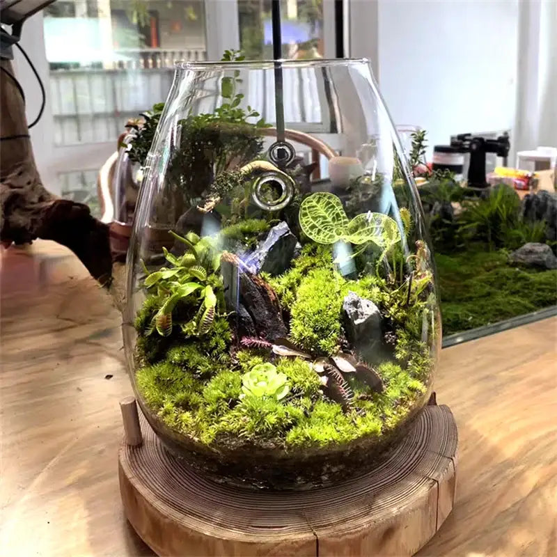 DecorBites™ mini glass terrarium teardrop shape with fresh green succulent moss micro landscape glass decor
