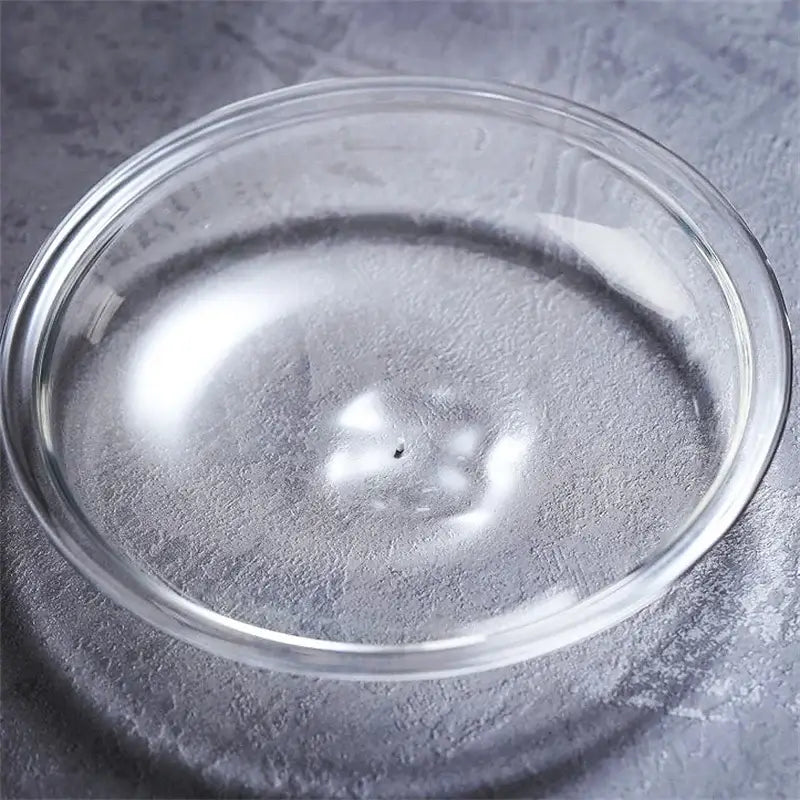 Decorbites™ mini glass terrarium features a clear glass dish with smooth rounded rim ideal for fresh green succulent micro landscapes