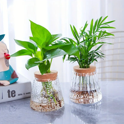 Mini Nordic Glass Hydroponic Planter Tray - Vase