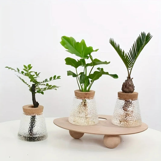 Mini Nordic Glass Hydroponic Planter Tray - Vase