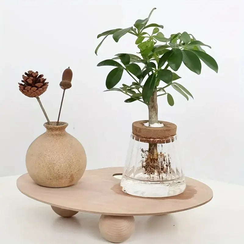 Decorbites™ mini nordic glass hydroponic planter tray with clear glass water-repelling container and green leafy plant