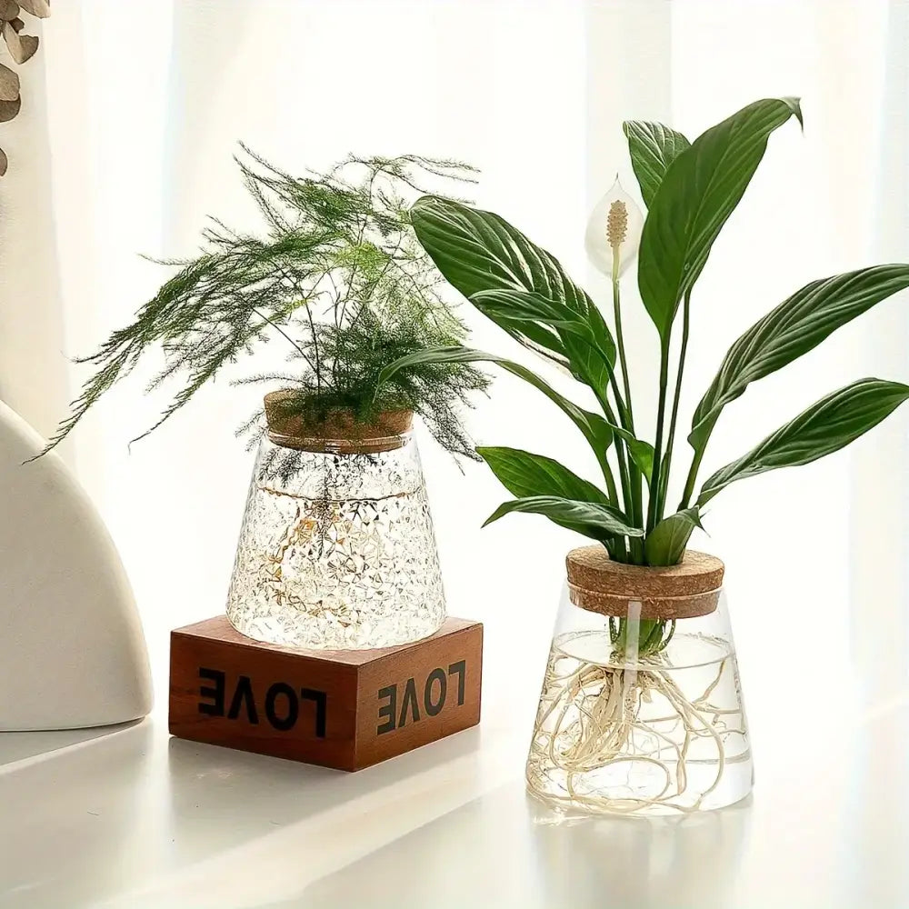 Decorbites mini nordic glass hydroponic planters with clear textured glass, cork lids, green foliage, and visible roots