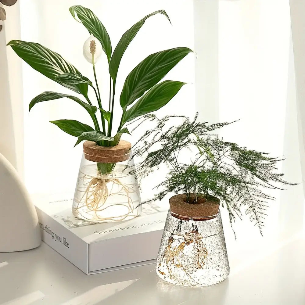 Decorbites™ mini nordic glass hydroponic planter tray with clear glass water planters and cork lids holding peace lily and asparagus fern