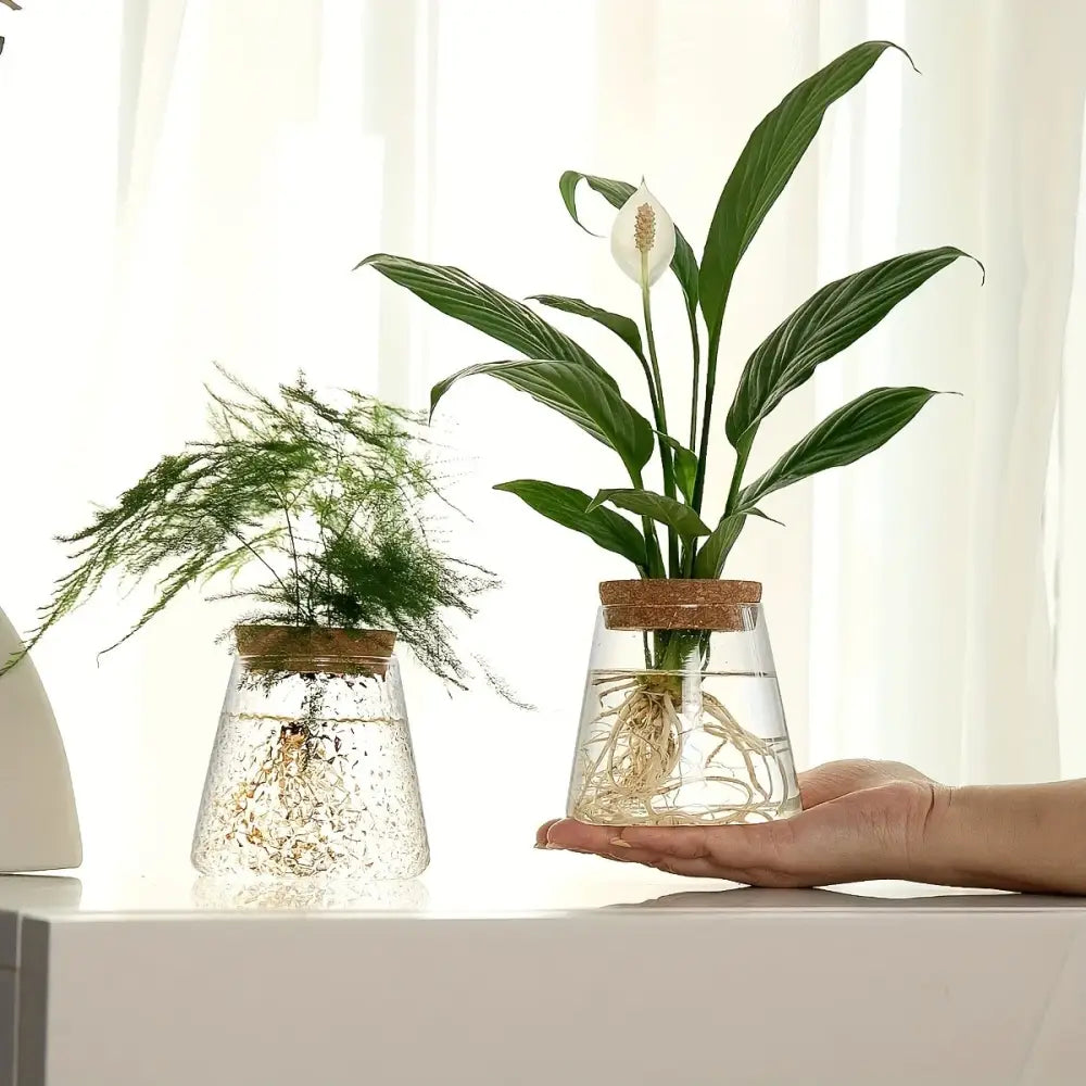 Clear glass hydroponic mini nordic glass planters with cork lids holding aquatic houseplants in a DecorBites™ tray