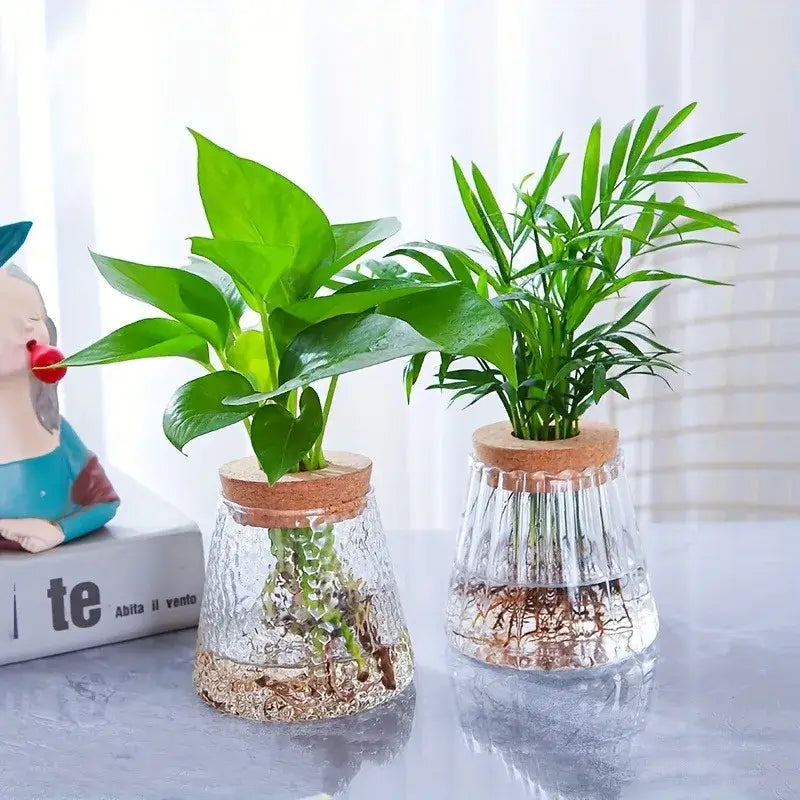 Two clear glass hydroponic mini nordic glass planters with textured surfaces and cork lids holding green leafy plants