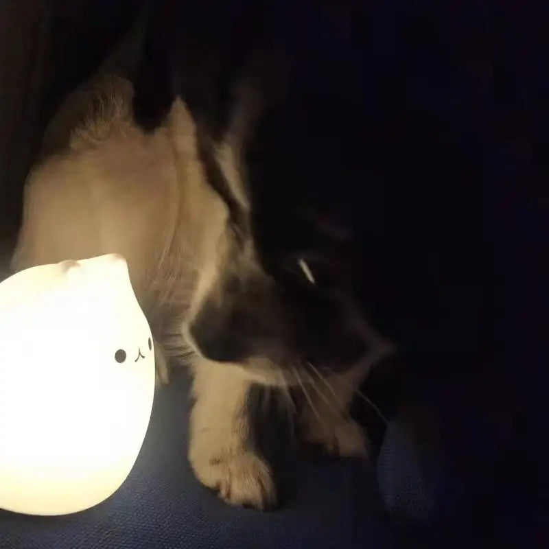 Mini Beliebte Katze Baby Nachttischlampe 7-Farben Klopf-Touch Farbwechsel Augenschonend Schlafzimmer Bettseitiges Nachtlicht Geschenk