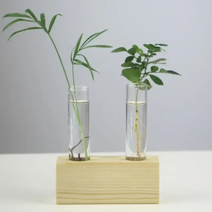 Decorbites™ modern crystal glass test tube vase with clear glass test tubes holding green plants and visible roots on wood base
