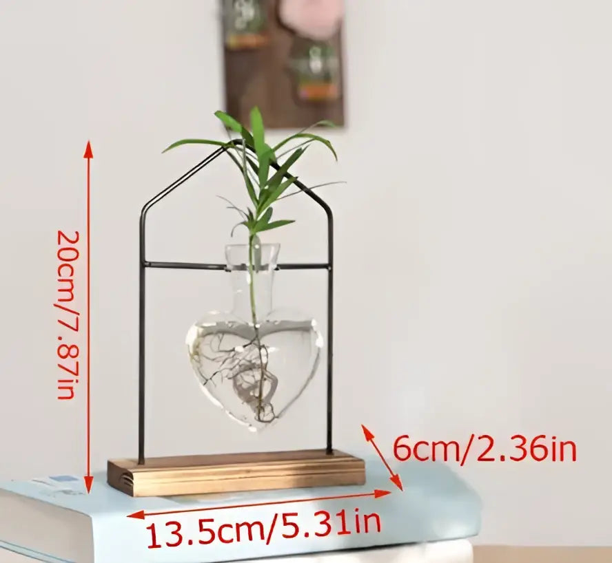 DecorBites™ modern crystal glass heart-shaped test tube vase with black metal frame and wooden base holding green plant