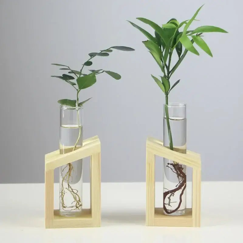 Decorbites™ modern crystal glass test tube vase featuring two clear glass test tubes with green plants in wooden frames