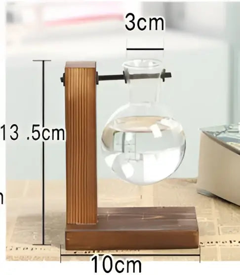 Wooden stand holding a clear crystal glass round-bottom flask for decorbites modern glass test tube vase