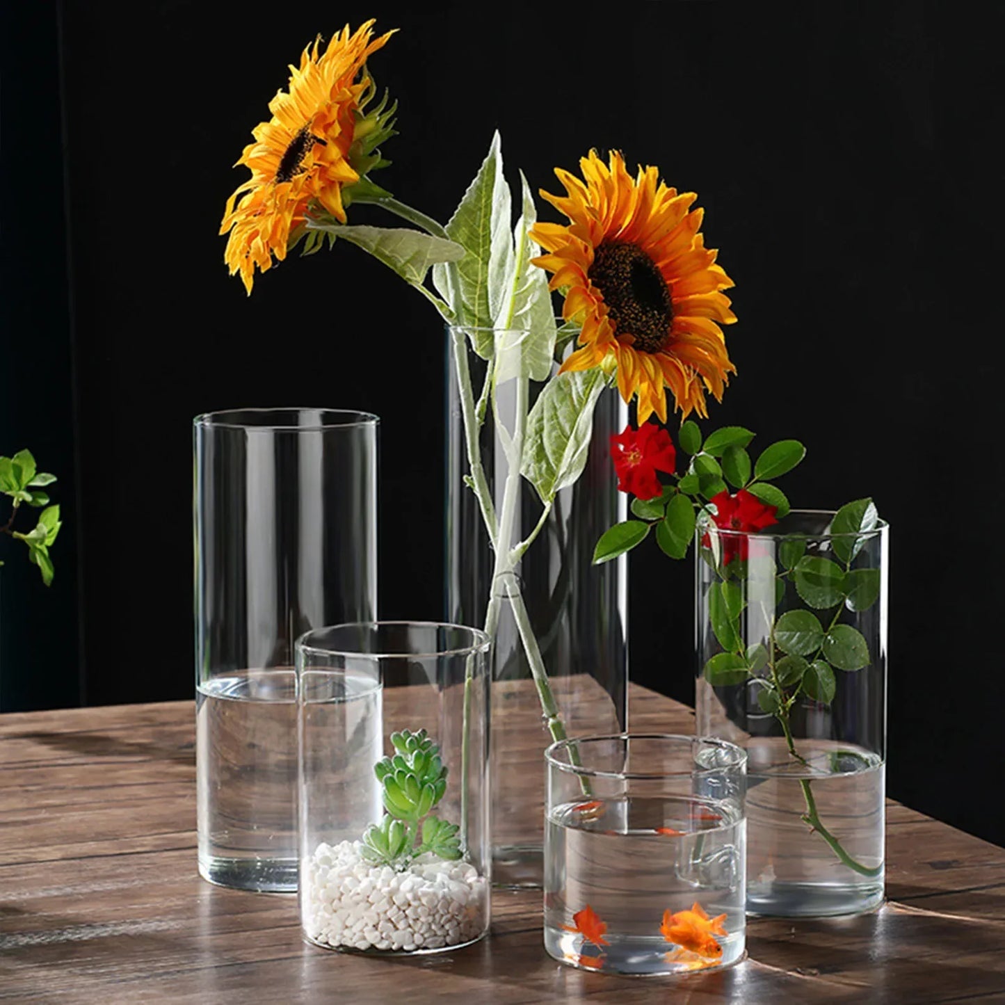 Modern Glass Hydroponic Vase for Wedding Decor - Vase