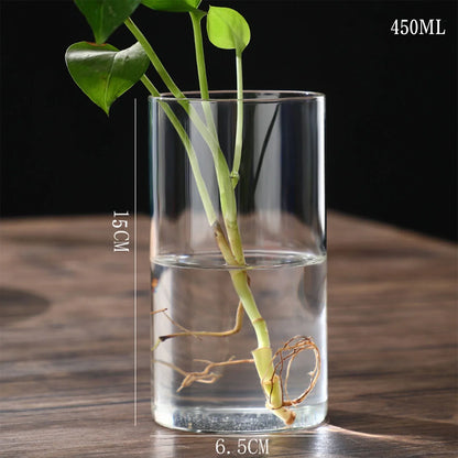 Modern Glass Hydroponic Vase for Wedding Decor - Vase