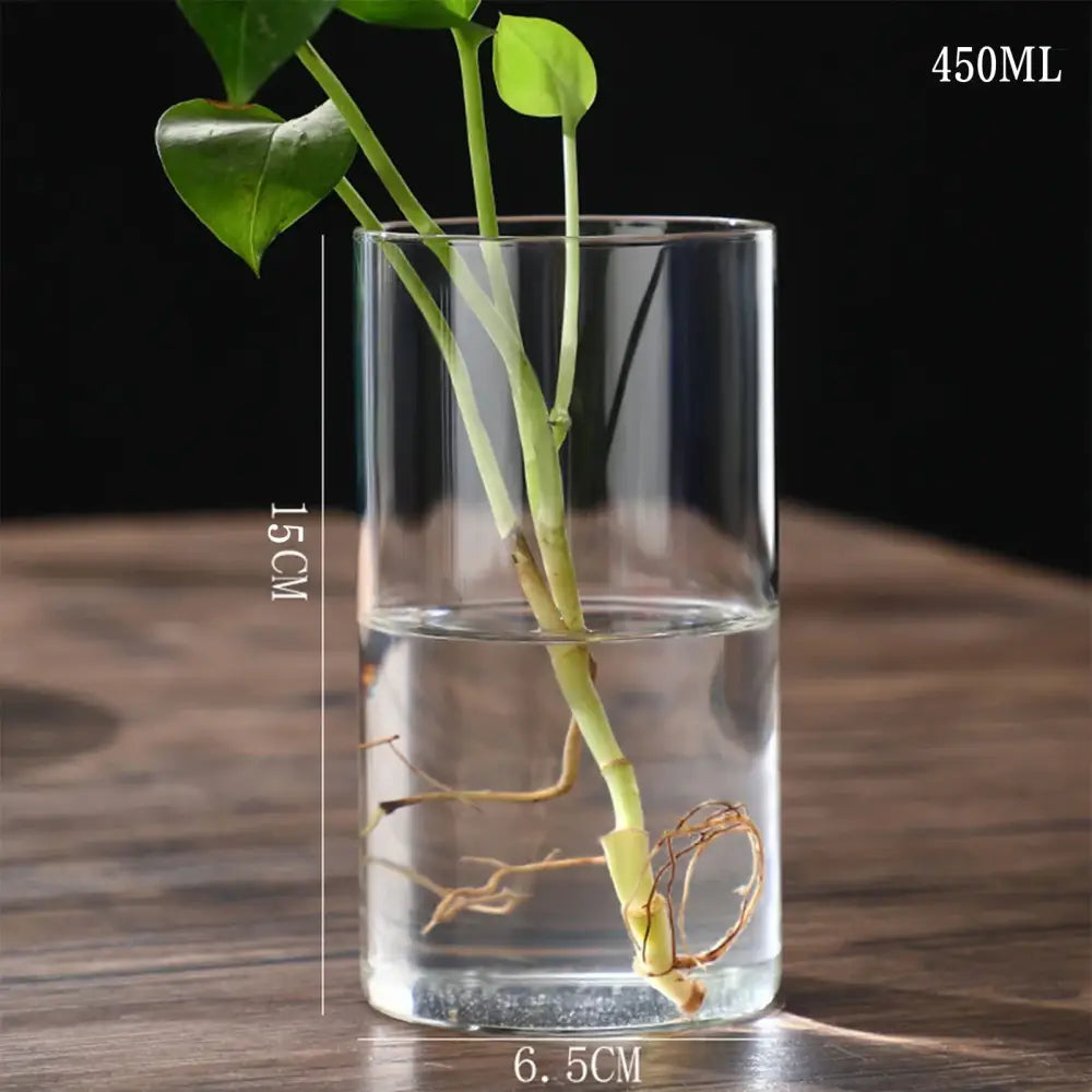 DecorBites™ modern clear glass hydroponic vase 450ml holds water green stems with roots for wedding decor