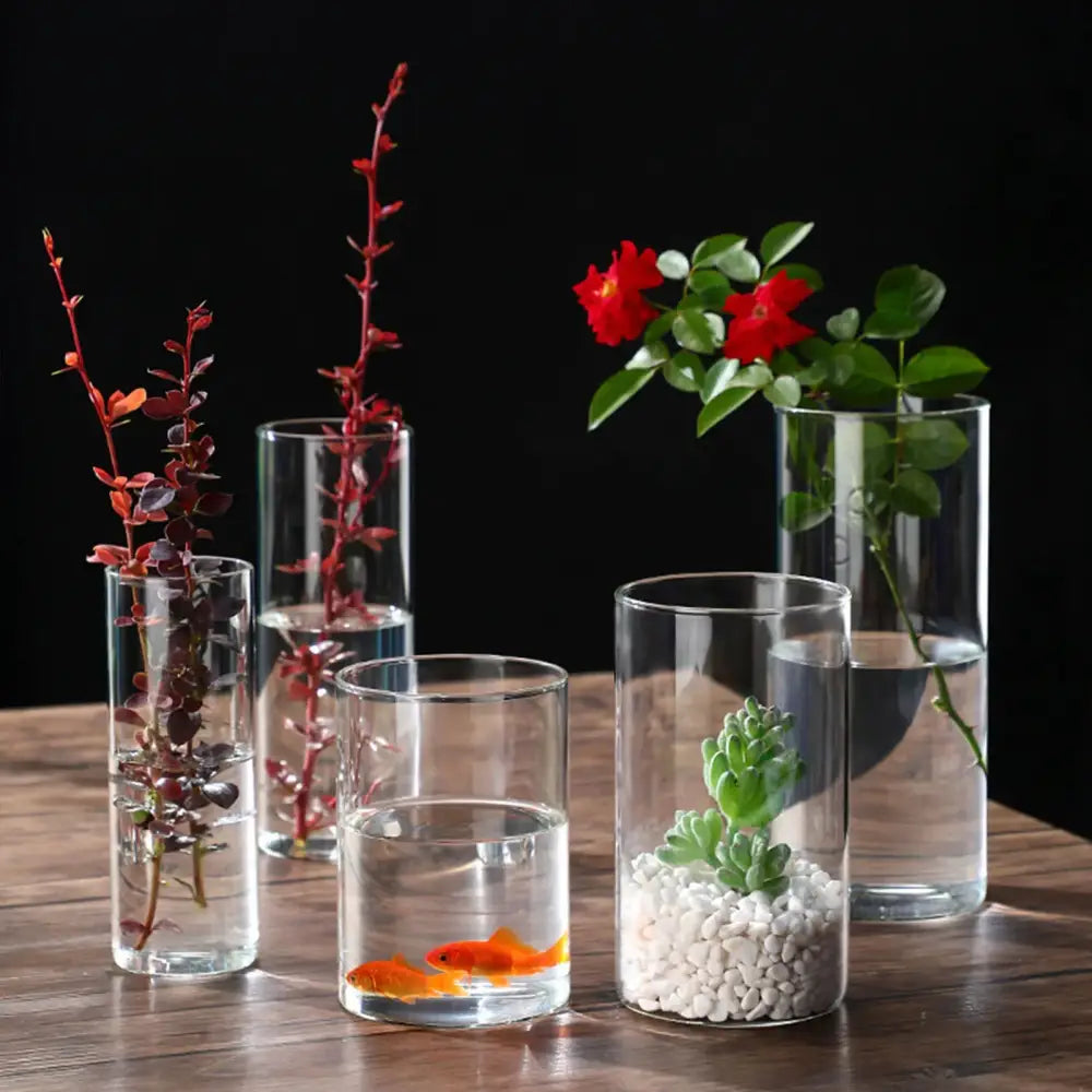 Clear glass hydroponic vase set with red leaf plants rose succulent and goldfish for modern wedding decor by decorbites