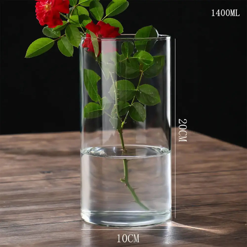 Clear cylindrical glass hydroponic vase 20cm tall with a single red rose stem for wedding decor by DecorBites™