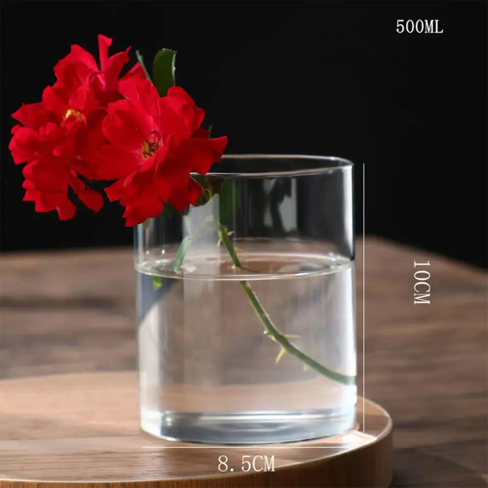 DecorBites™ modern clear glass hydroponic vase with cylindrical shape holding vibrant red roses for wedding decor