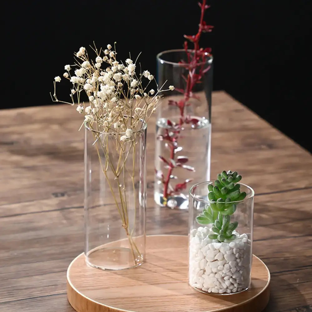 Decorbites™ modern clear cylindrical glass hydroponic vase with dried botanicals on wooden tray for wedding decor