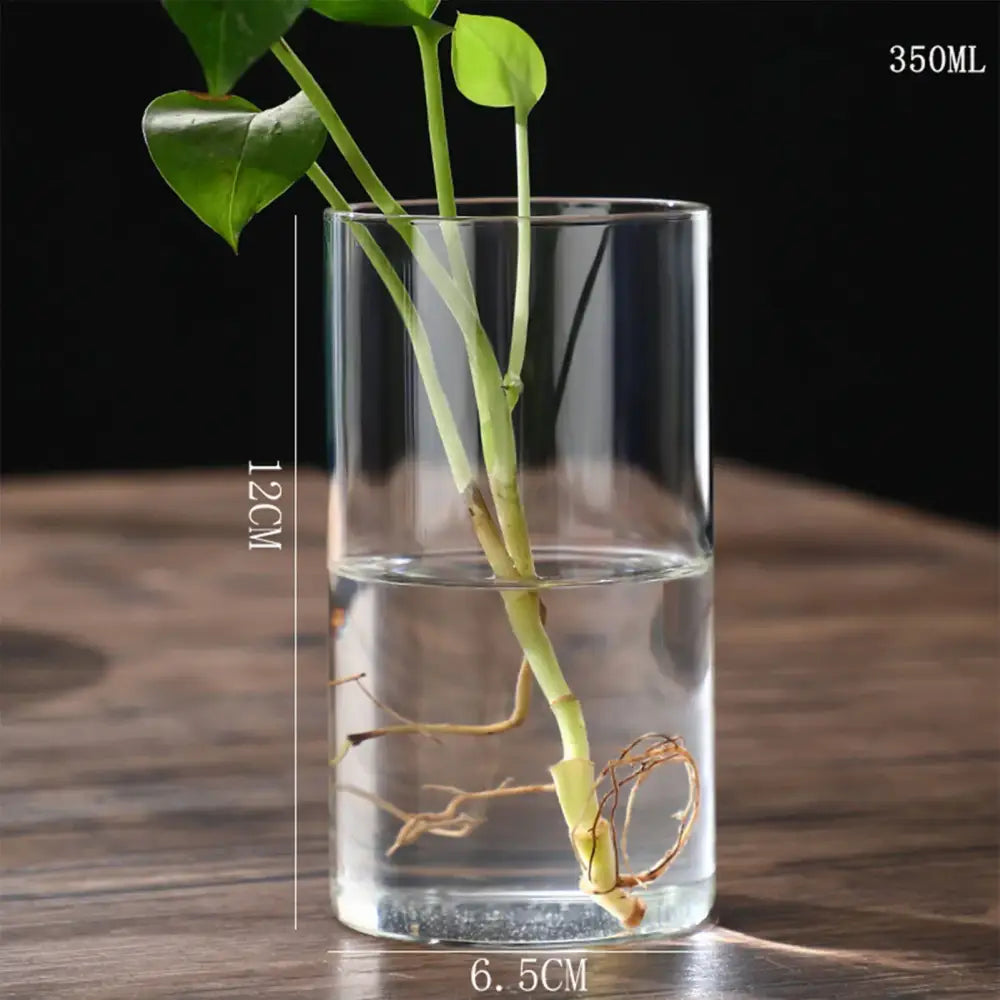 DecorBites™ modern glass hydroponic vase holds 350ml water with green stems and roots for wedding decor