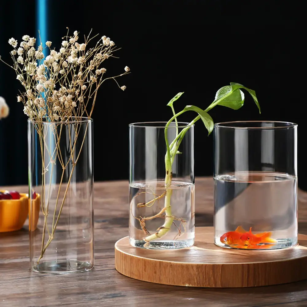 Decorbites™ modern glass hydroponic vase set with clear cylindrical vases holding dried flowers plant and goldfish