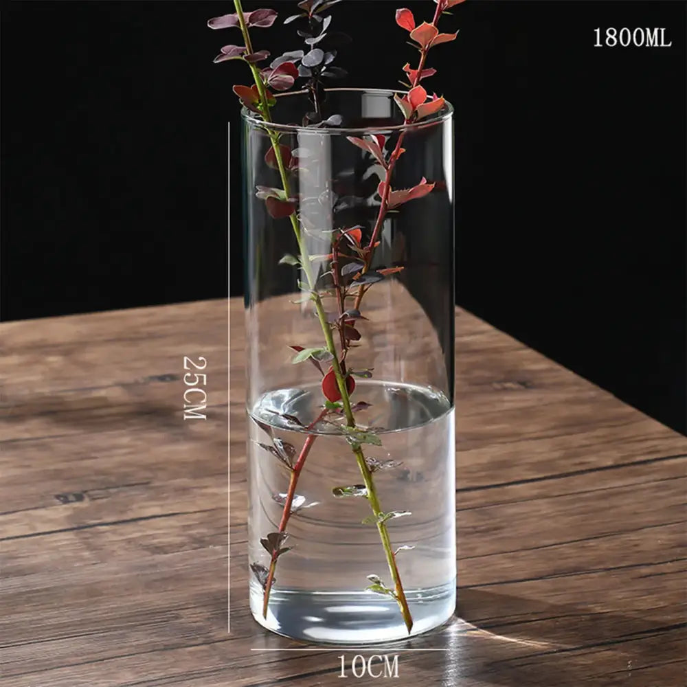 DecorBites™ modern clear glass hydroponic vase 10cm diameter 25cm height 1800ml capacity for wedding decor
