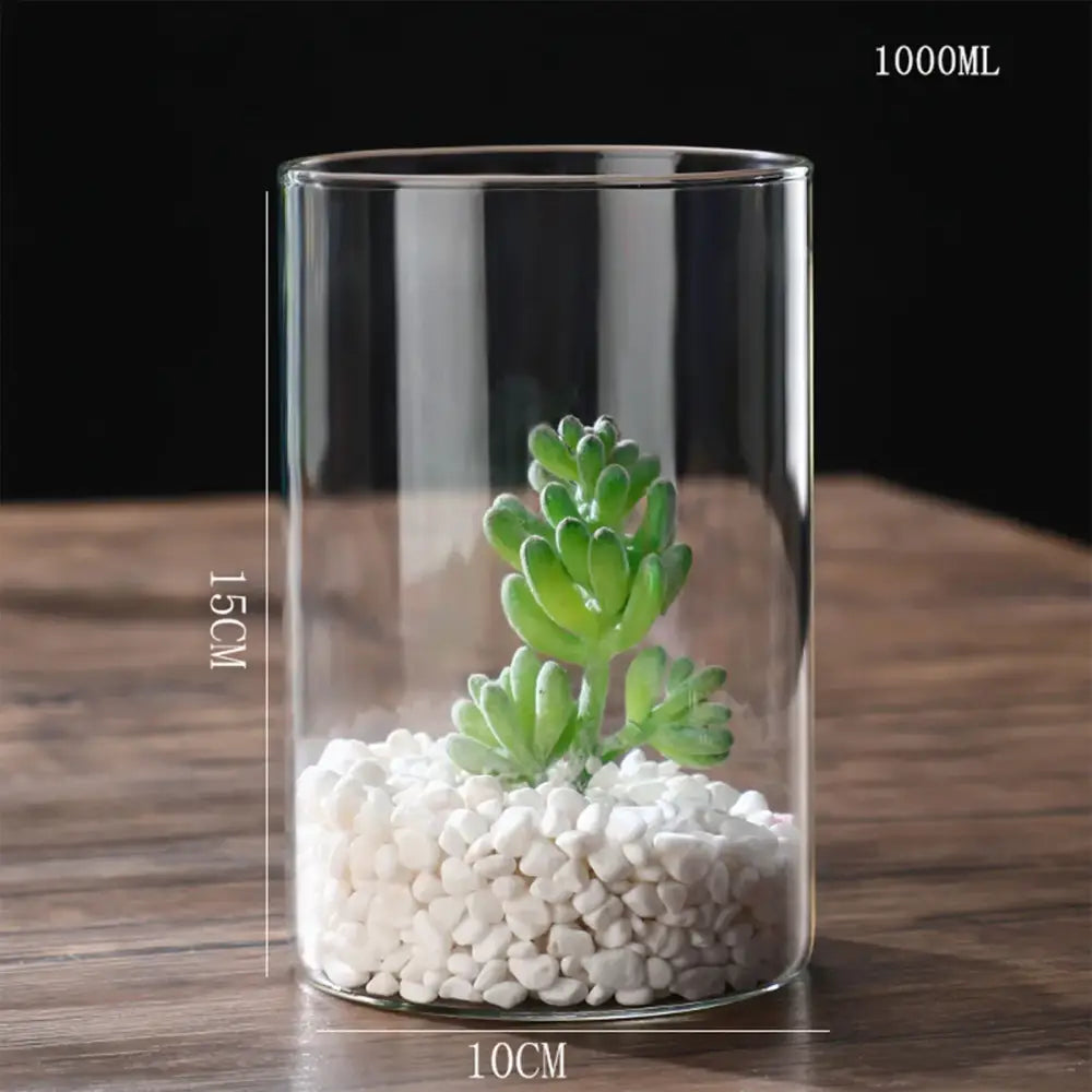 DecorBites™ modern clear glass hydroponic vase 15cm tall with green succulent and white pebbles for wedding decor