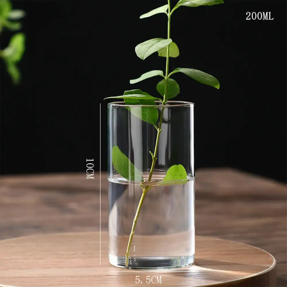 Decorbites™ modern clear glass hydroponic vase with cylindrical shape holding green plant stem for wedding decor