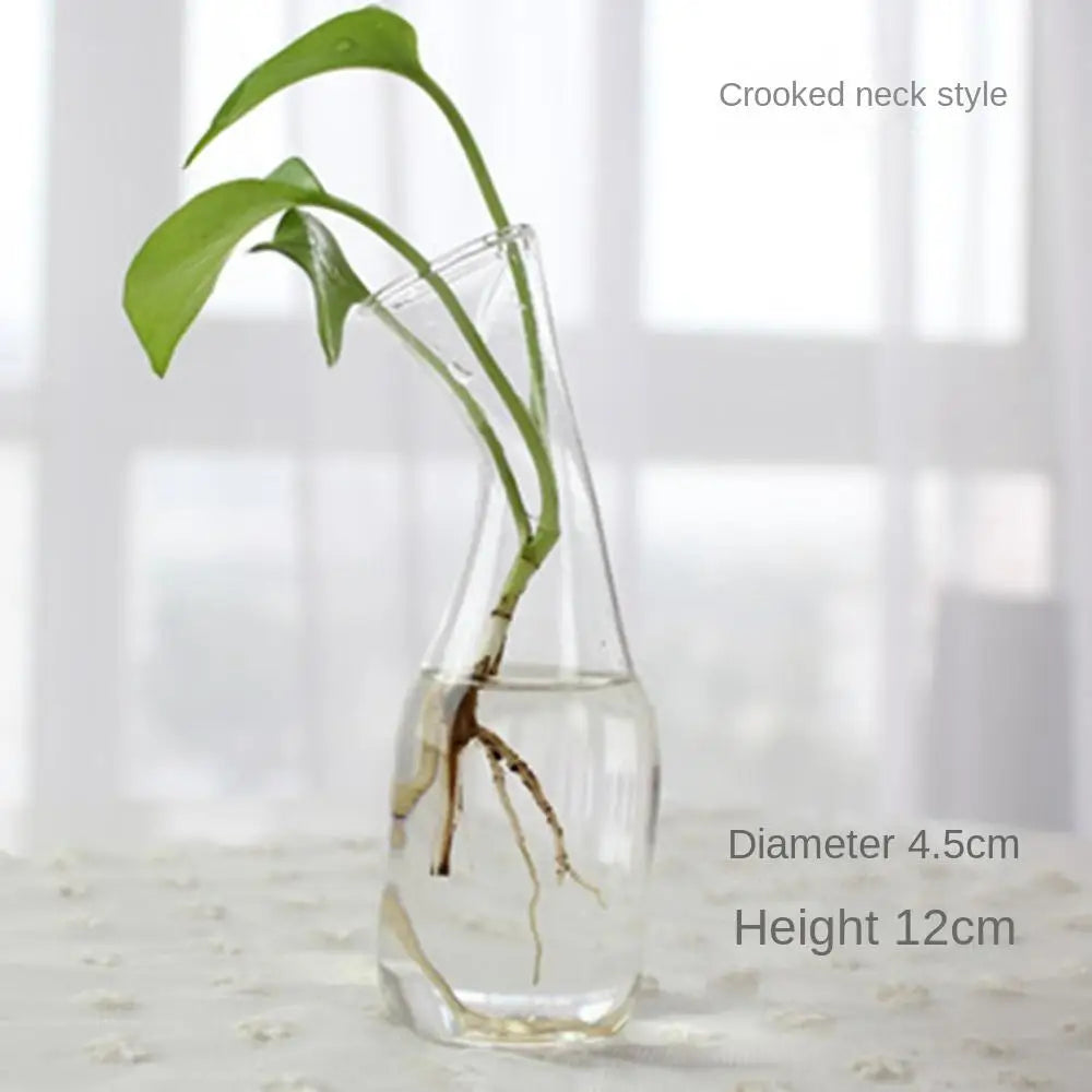Modern Glass Vase Terrarium Aquarium Decoration - Vase