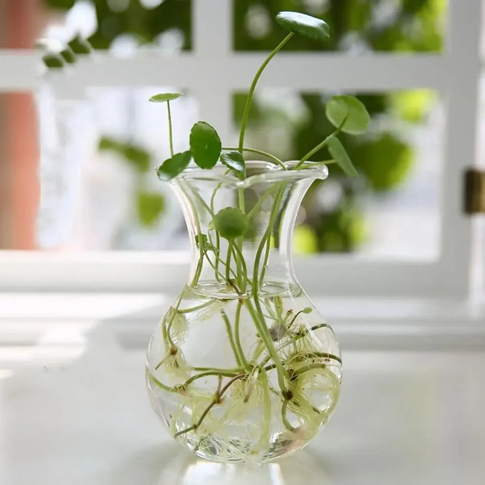 Modern Glass Vase Terrarium Aquarium Decoration - 10 - Vase