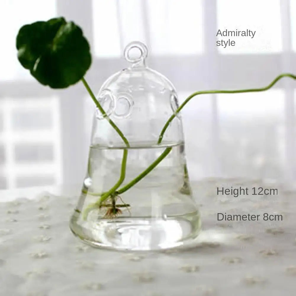 DecorBites™ Modern Glass Vase Terrarium Aquarium Decoration