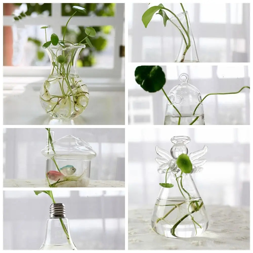 DecorBites™ Modern Glass Vase Terrarium Aquarium Decoration