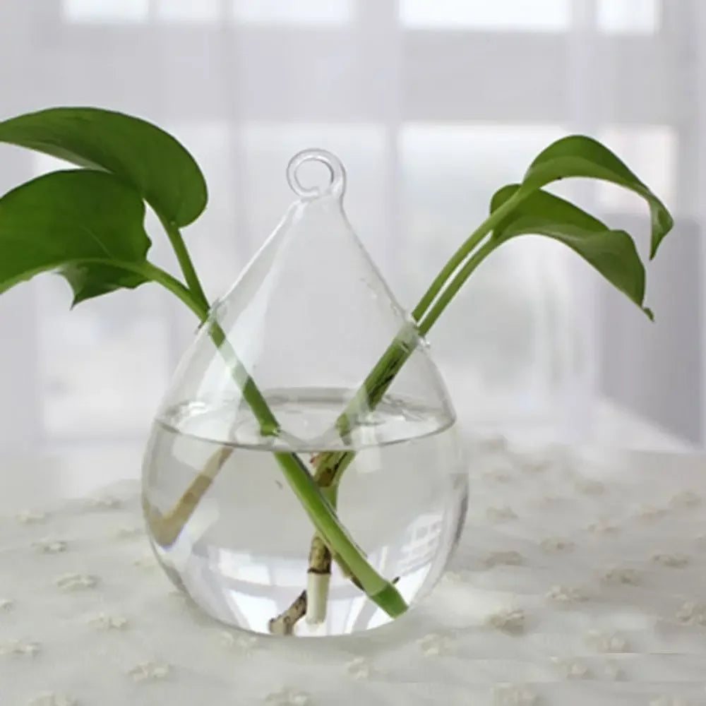 Modern Glass Vase Terrarium Aquarium Decoration - 1 - Vase