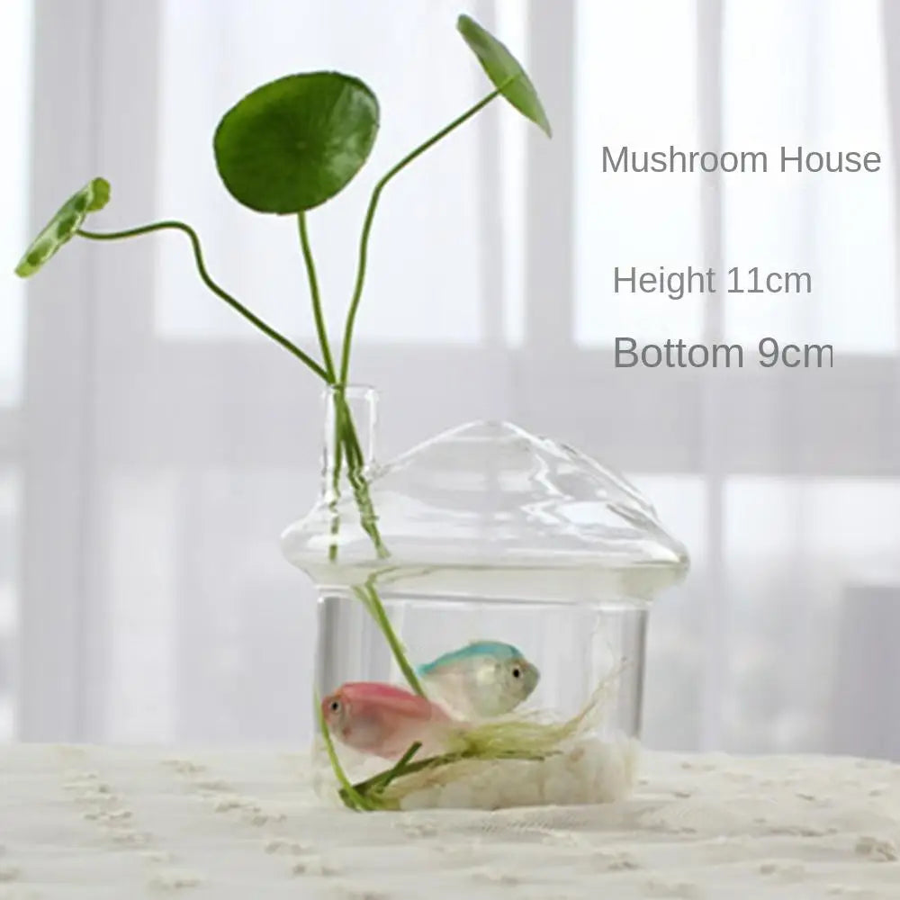 Modern Glass Vase Terrarium Aquarium Decoration - Vase
