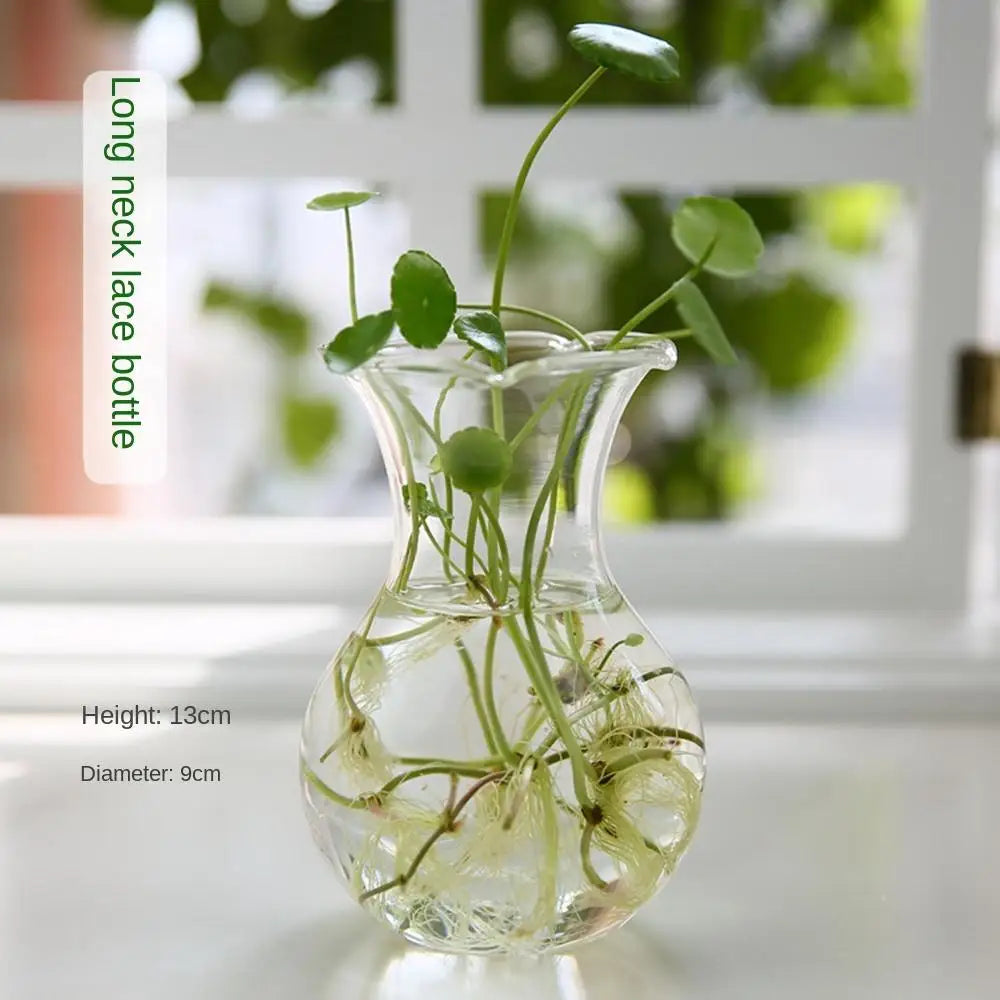 DecorBites™ Modern Glass Vase Terrarium Aquarium Decoration