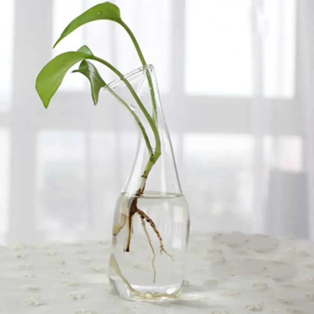 Modern Glass Vase Terrarium Aquarium Decoration - 9 - Vase