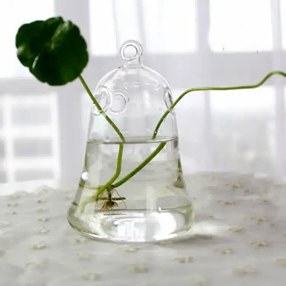 Modern Glass Vase Terrarium Aquarium Decoration - 3 - Vase
