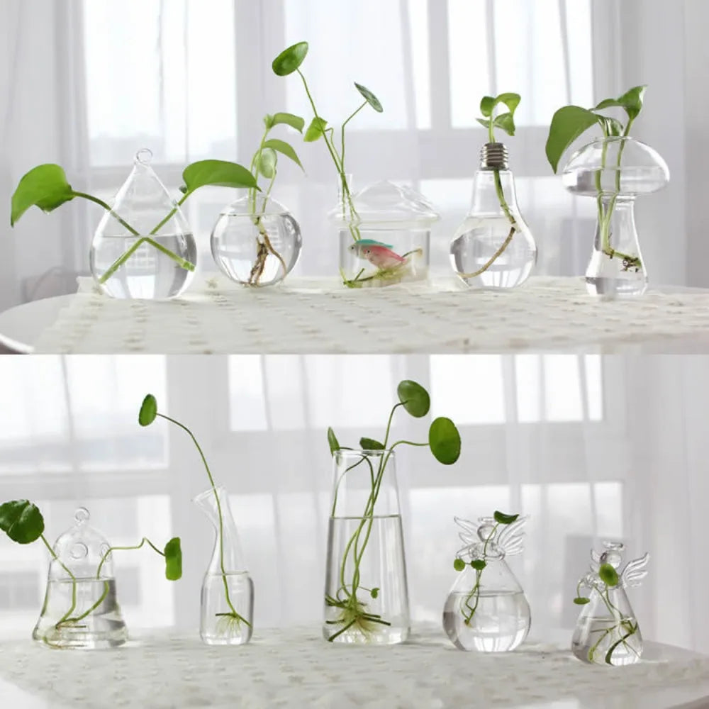 Modern Glass Vase Terrarium Aquarium Decoration - Vase