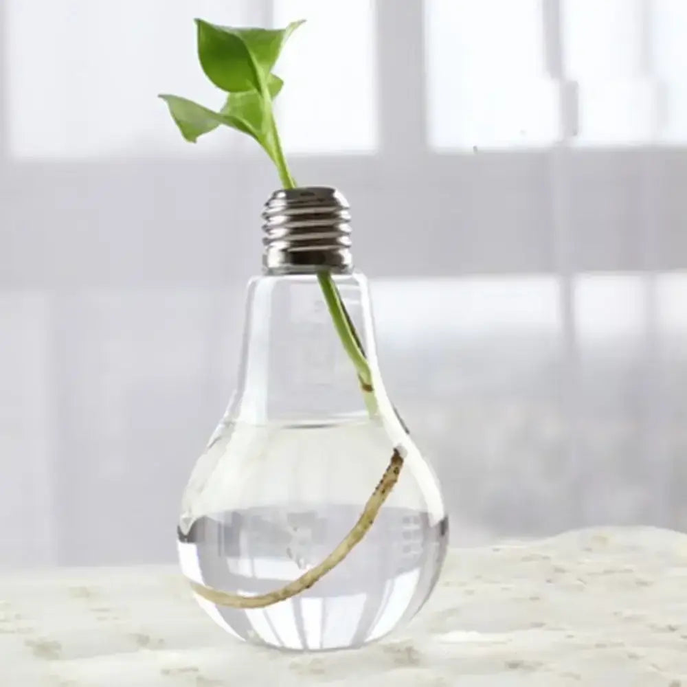 Decorbites™ modern clear glass vase terrarium in light bulb shape with metallic base holding a green plant in water