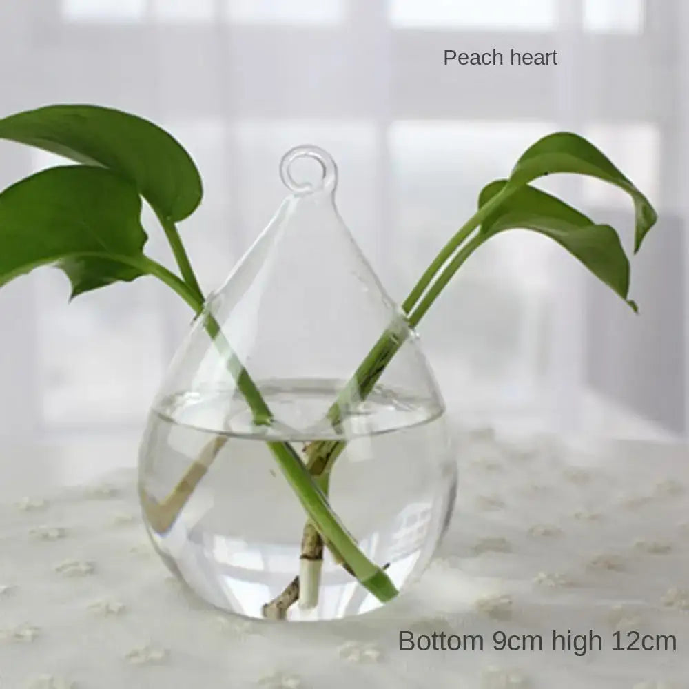 DecorBites™ modern clear glass vase terrarium with teardrop shape and looped top holding two green stems in water