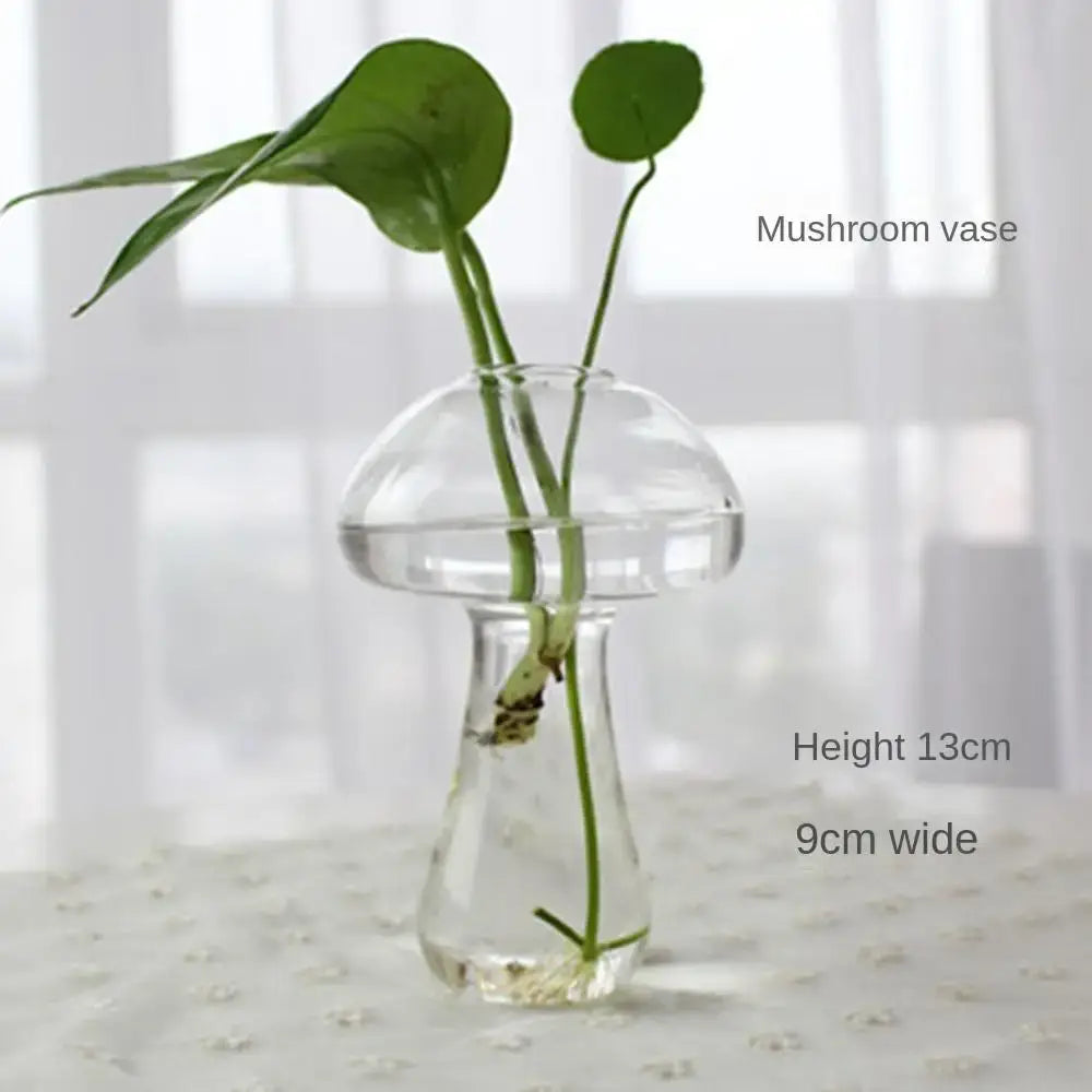 Decorbites™ modern glass vase terrarium featuring a clear mushroom-shaped glass vase holding green plants in water