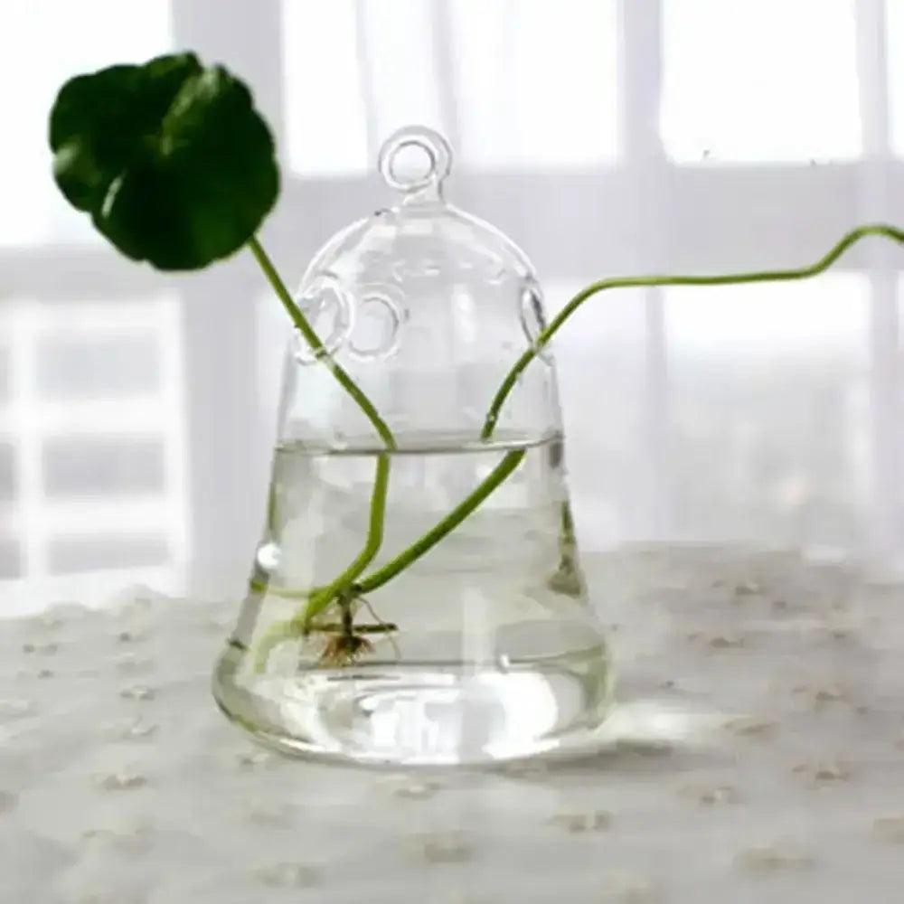Clear glass bell shaped DecorBites™ glass vase terrarium with looped top holding water and green plant stems