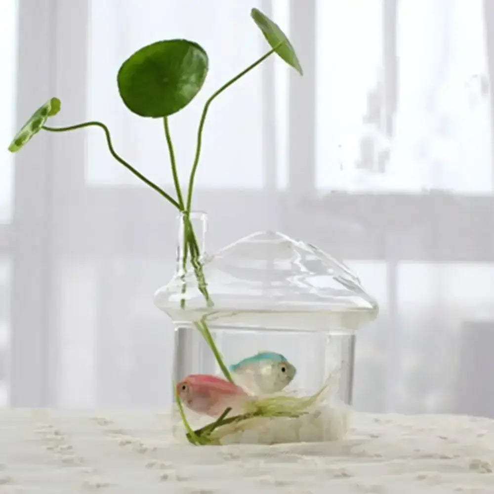 Decorbites™ modern clear glass vase terrarium aquarium with two small fish and green leafy stems inside