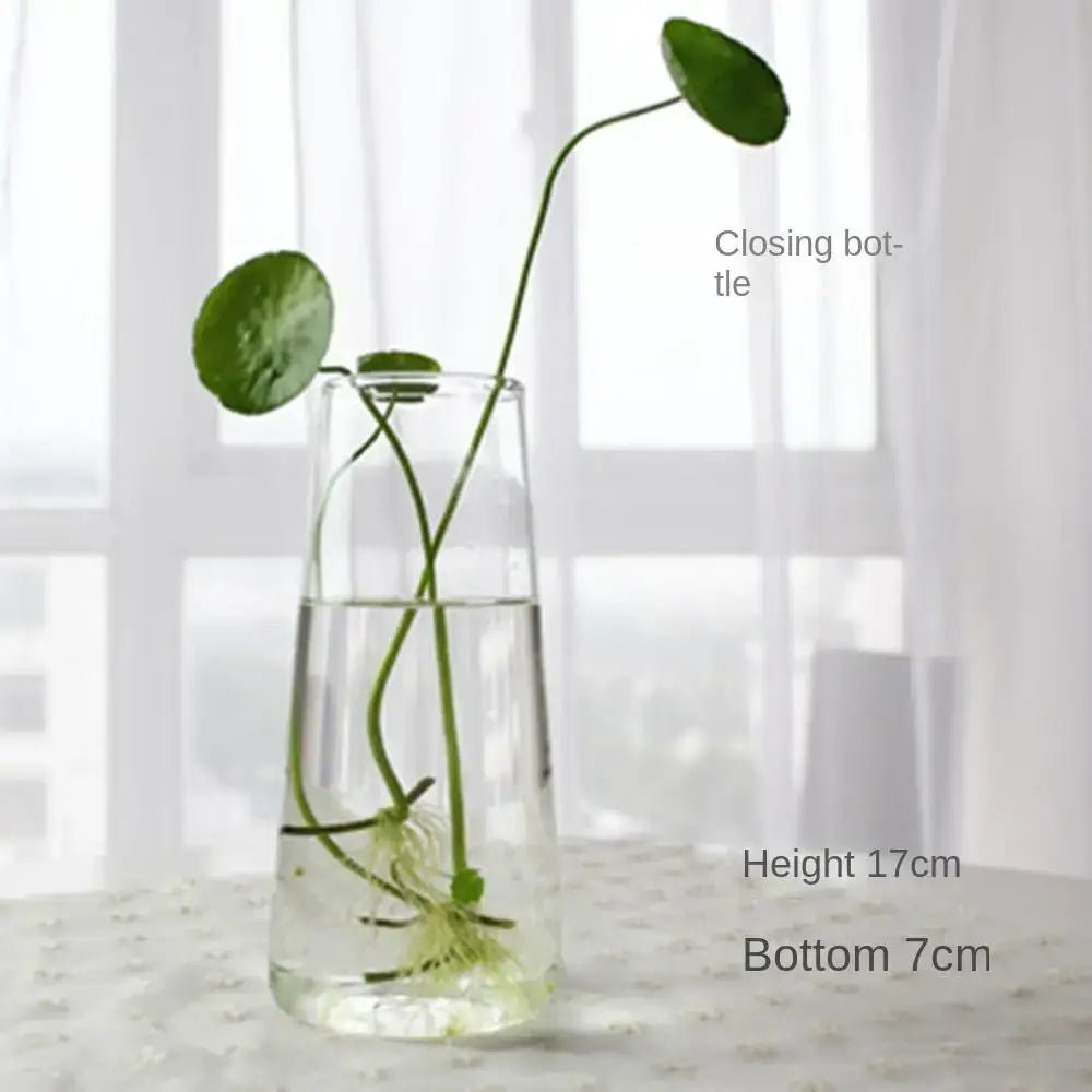 Clear glass vase terrarium with a sleek tapered design and rounded base by DecorBites™ for modern decoration