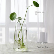 Clear glass vase terrarium with a sleek tapered design and rounded base by DecorBites™ for modern decoration