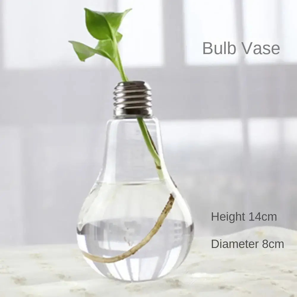 Clear glass vase terrarium by decorbites with a metallic screw base holding water and a green plant stem