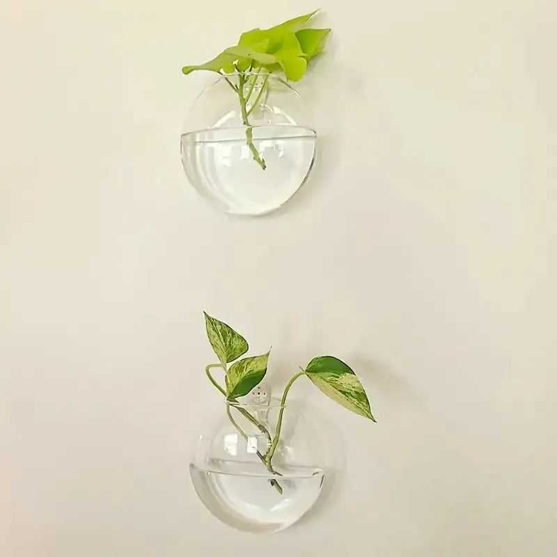 Clear spherical glass wall-mounted decorbites modern hanging glass vase with green leafy vines for home decor