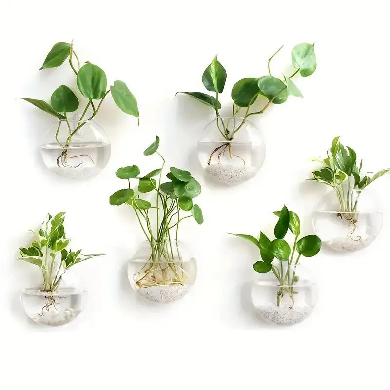 Decorbites™ modern hanging glass spherical wall-mounted planters with green vines and white gravel for home decor